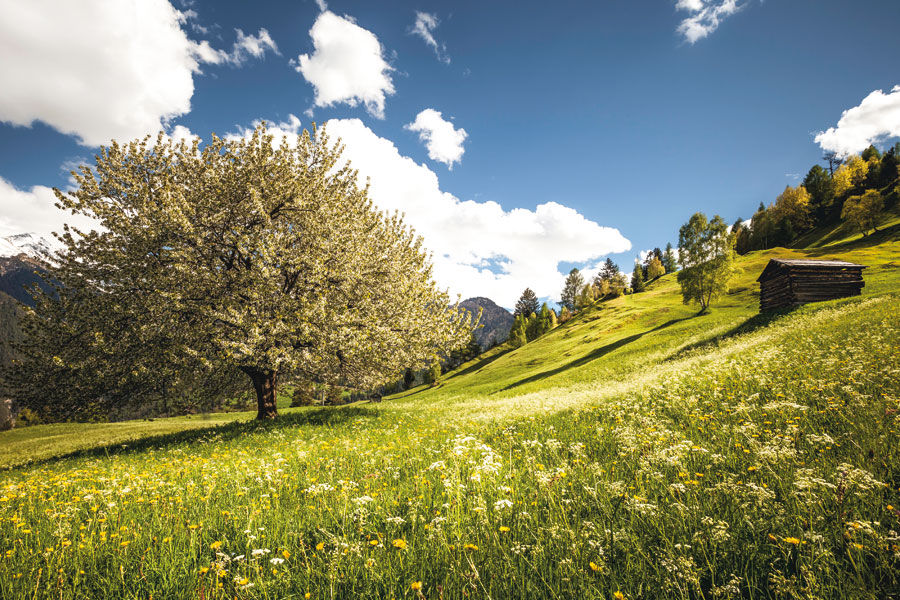 TVB-Bilder-Sommer-01