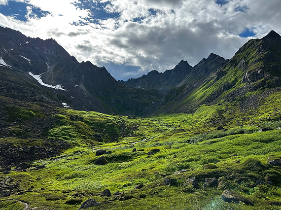 APIARY HATCHER PASS.heic