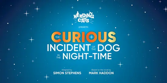 Curious Incident of the Dog in the Night-Time