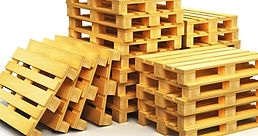 WhatsApp Image 2024-02-20 at 9.21.12 AM (1).jpeg