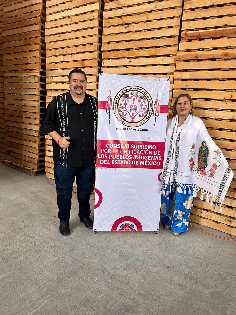PUEBLOS INDIGENAS 4