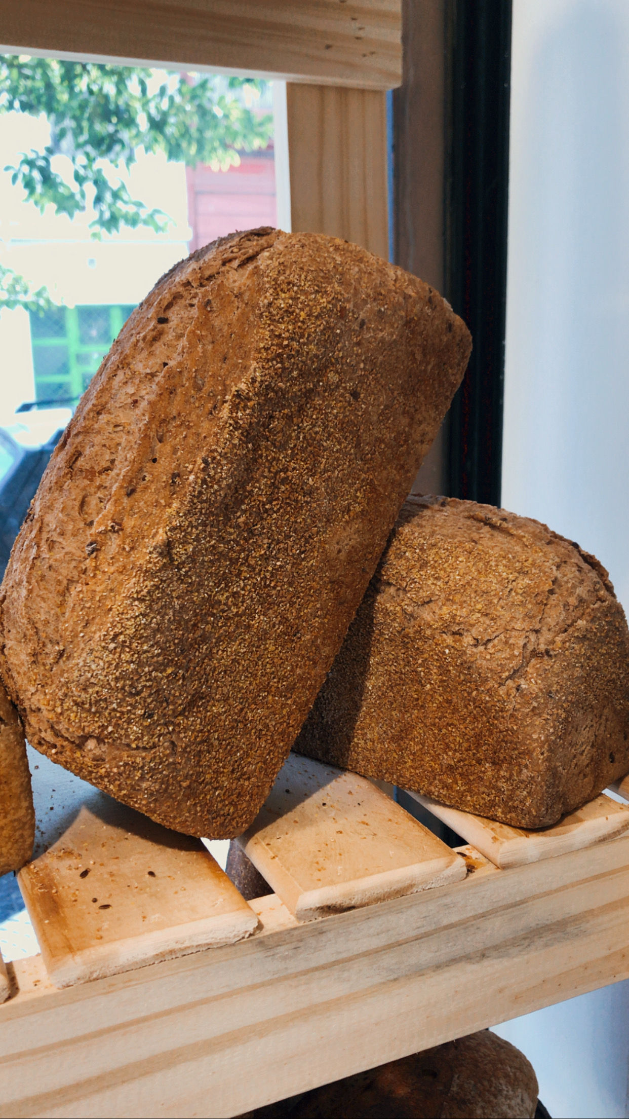 Molde Semillas Activadas