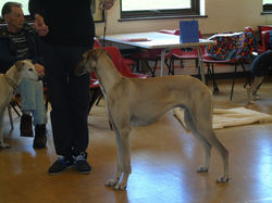 13029560_10156689207280315_1616010326749232185_o