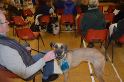 16602395_10158050728940315_5706232229481433277_o