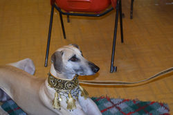 16602365_10158050729835315_6552787348539714513_o