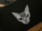 sphynx storage purse