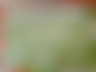 George's Marvellous Medicine