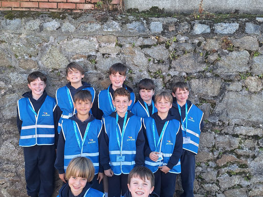 Our Active School Flag Committee