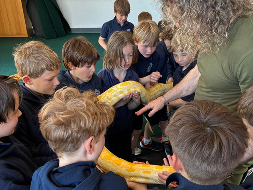 Wellbeing Week: Dave’s Jungle
