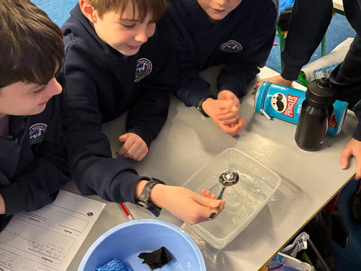 Oil Spill Experiment