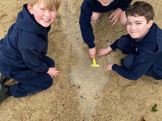 Seaside Fun on Sandycove Beach