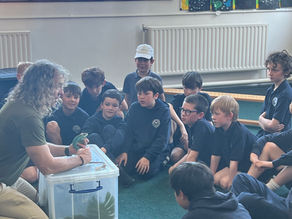 Wellbeing week: Dave’s Jungle