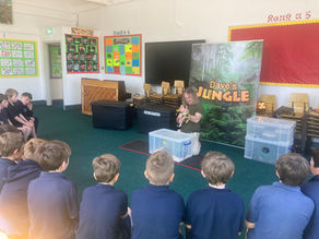 Dave's Jungle