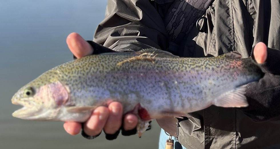 Dead Horse Ranch Day Fishing Outing