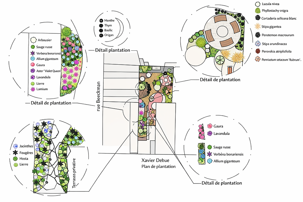 Miniature : Plan de plantation & Palette végétale & 2 vidéoconférences