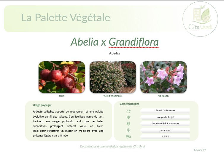 Miniature : Plan de plantation & Palette végétale & 2 vidéoconférences