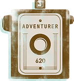 Grungy Camera Brown