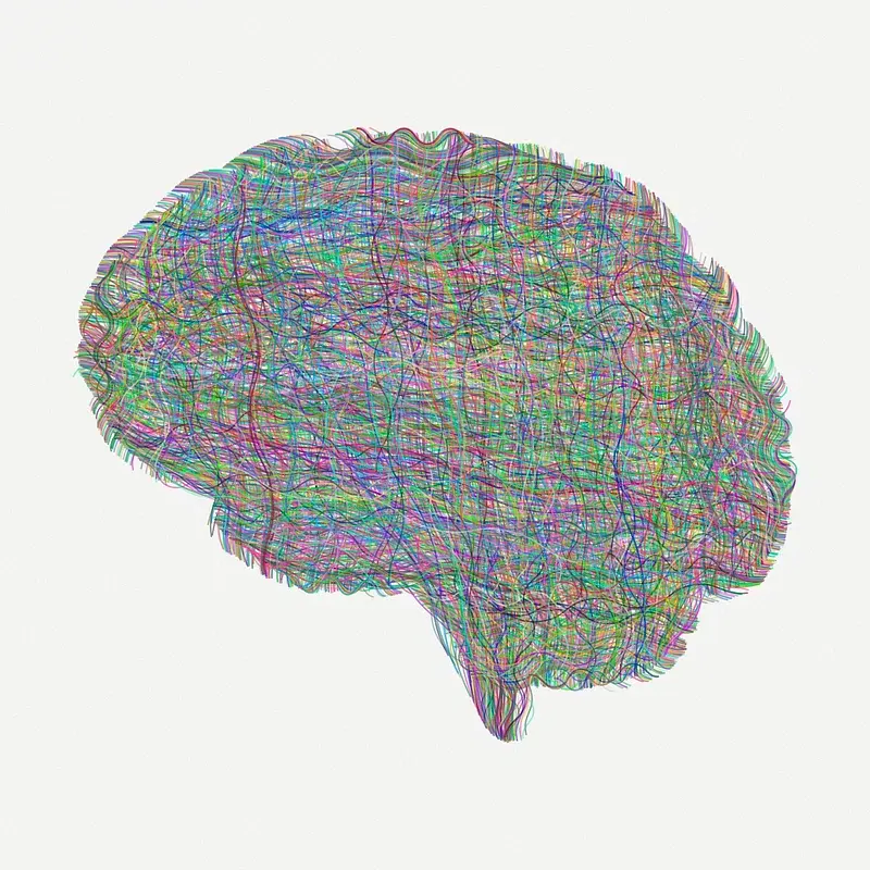 image of brain with coloured lines