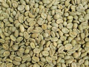 Grains de café vert pas encore torréfiés