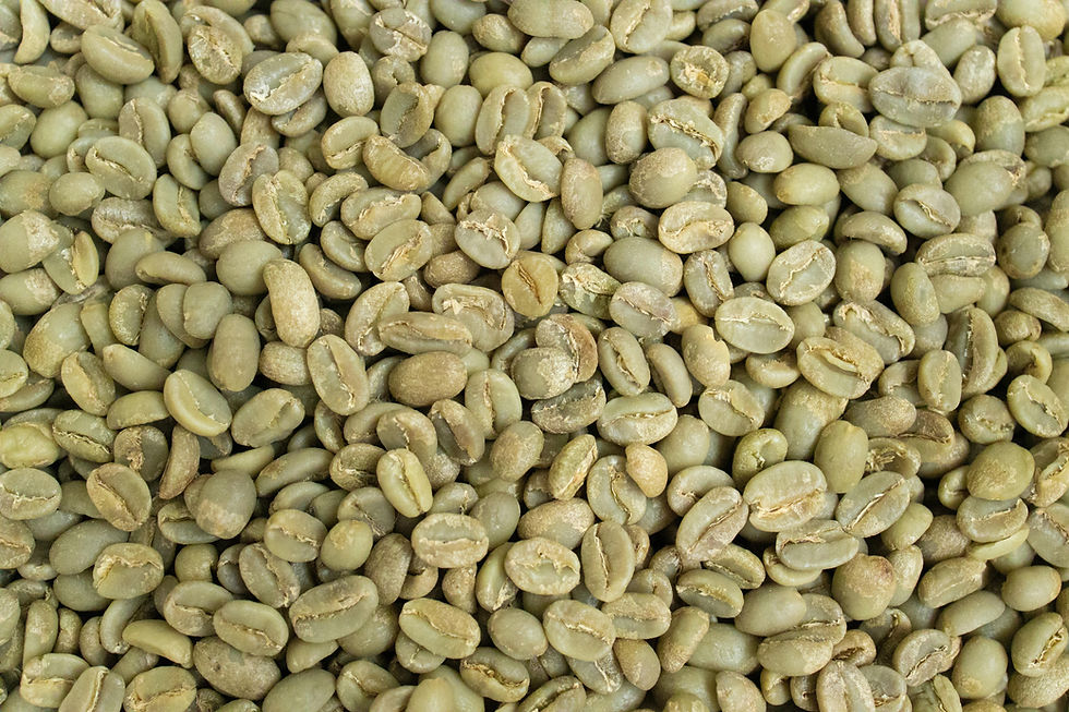 Grains de café vert pas encore torréfiés