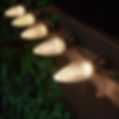 C9 Warm White LED Bulb