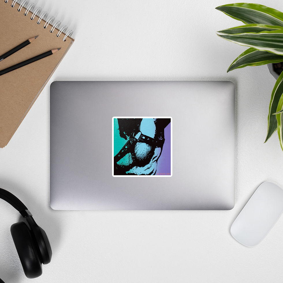 Thumbnail: Bubble-free stickers - The Harness