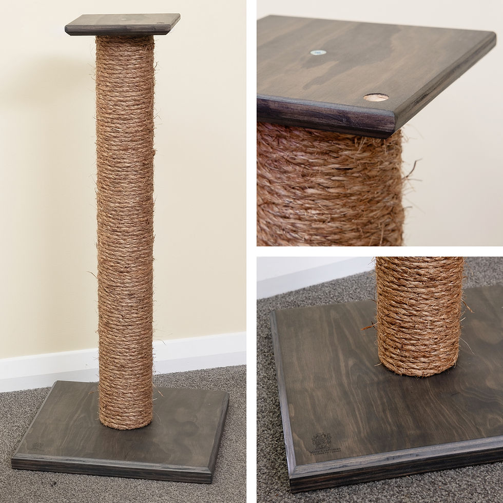 Thumbnail: Black Cat Scratching Post