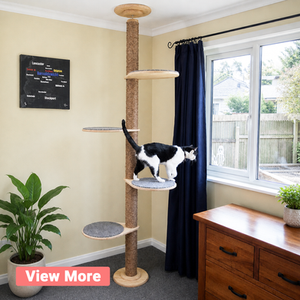 Wooden Cat Furniture
