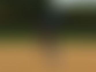 Aidan pitching the 1st time