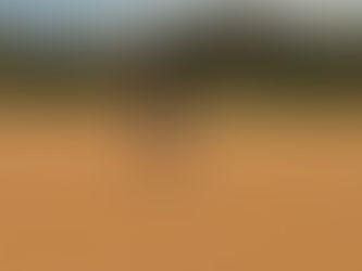 Staring them down :)