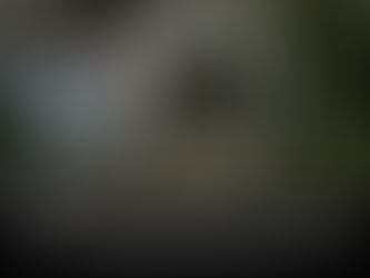 Uncle Michael clobbers everyone, wins Week 8!