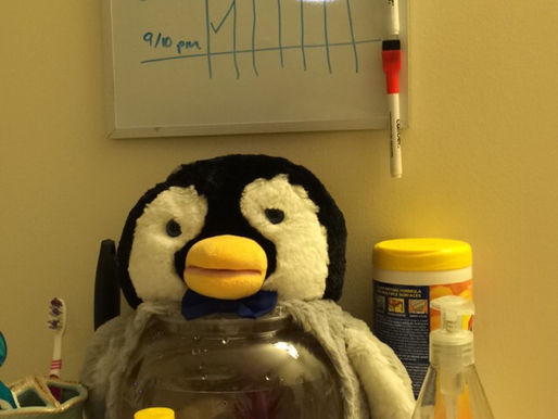 Newest Memeber of Room 305 at UNE!