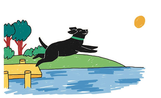 Illustration of Bear jumping into a lake.