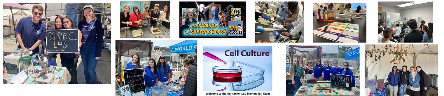 Column - delete prior thing and just reuse same page (3).png