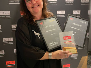 Small Barry Agency Wins Big at National PR Awards