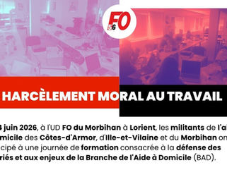 🔴Formation | Action sociale | harcèlement au travail : comment l’identifier, se protéger et préparer sa défense