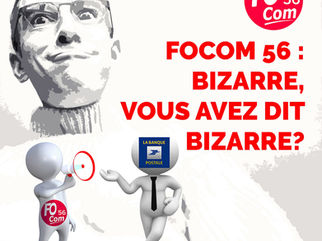 🧐FOCOM 56 : Bizarre, vous avez dit bizarre?