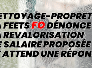 Nettoyage-Propreté : La FEETS FO dénonce la revalorisation de salaire proposée et attend une réponse