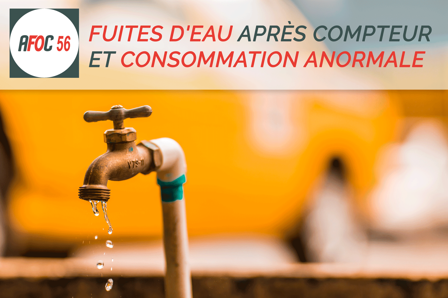 L'AFOC56 vous informe : Fuites d'eau après compteur et consommation anormale