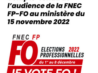 Compte-rendu de l’audience de la FNEC FP-FO au ministère du 15 novembre 2022