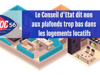 🔵AFOC : Le Conseil d'Etat dit non aux plafonds trop bas dans les logements locatifs | NOUVEAU AFOC56 est sur Youtube et Tiktok !