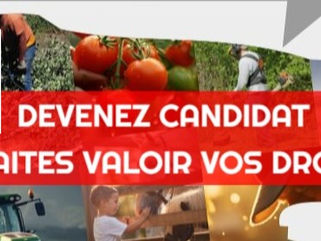 🔔APPEL A CANDIDATURE pour les élections Chambre d'Agriculture