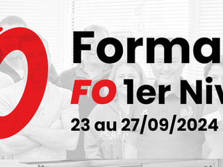 🔴Formation CFMS | Niveau 1 à Lorient : à la découverte du syndicat FO