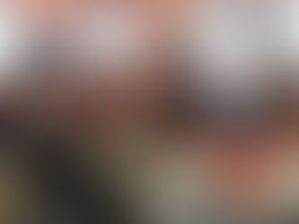 🔴PHOTOS -VIDEOS et Avant propos du rapport d'activité de l'UDFO56