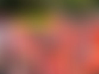 Déclaration du Comité National Fédéral FO FEDECHIMIE