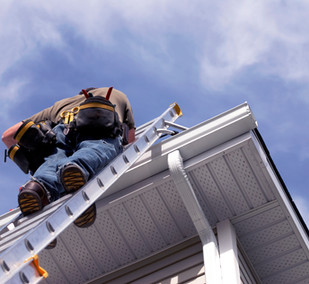 Free Professional Inspection