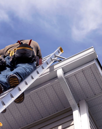 Wildlife Removal and Repair Services