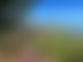 Minnesota’s vanishing shorelines – and what we can do about it