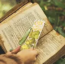 Proyecto nuevo (12).webp