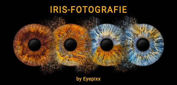 Webseitebanner-Fusion4.jpg